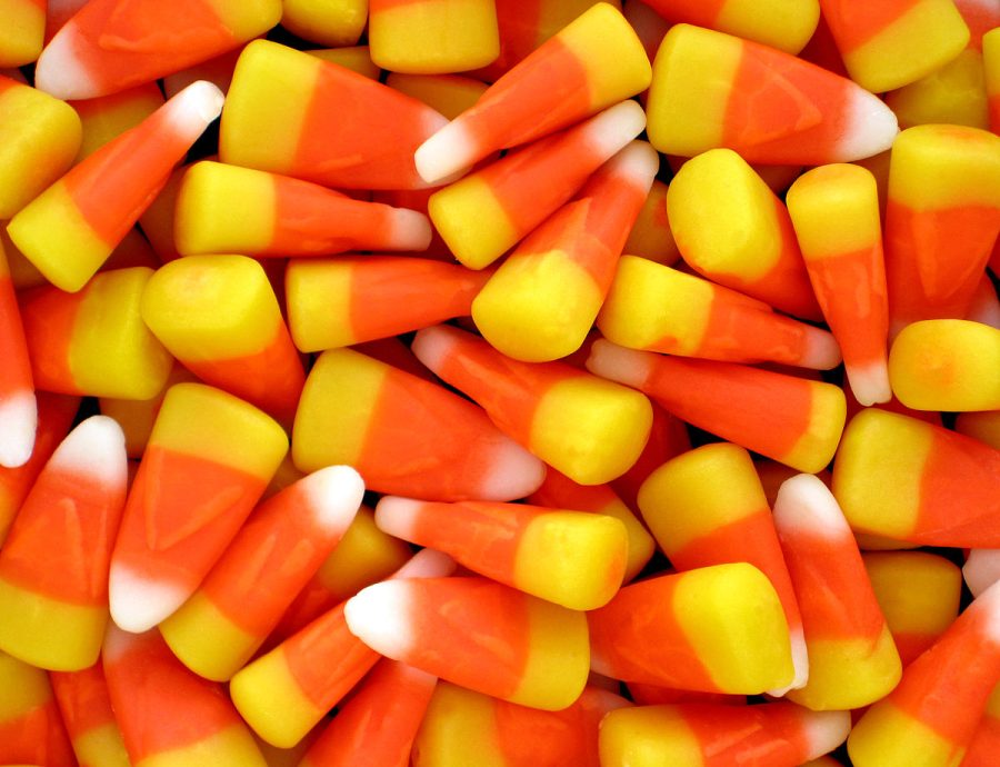 Rating my favorite Halloween candy